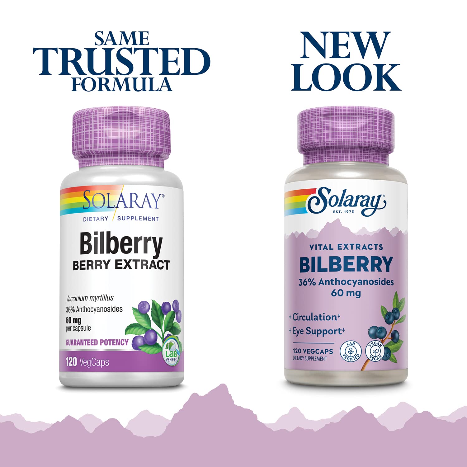 Solaray Bilberry capsules close-up emphasizing anthocyanosides for circulation