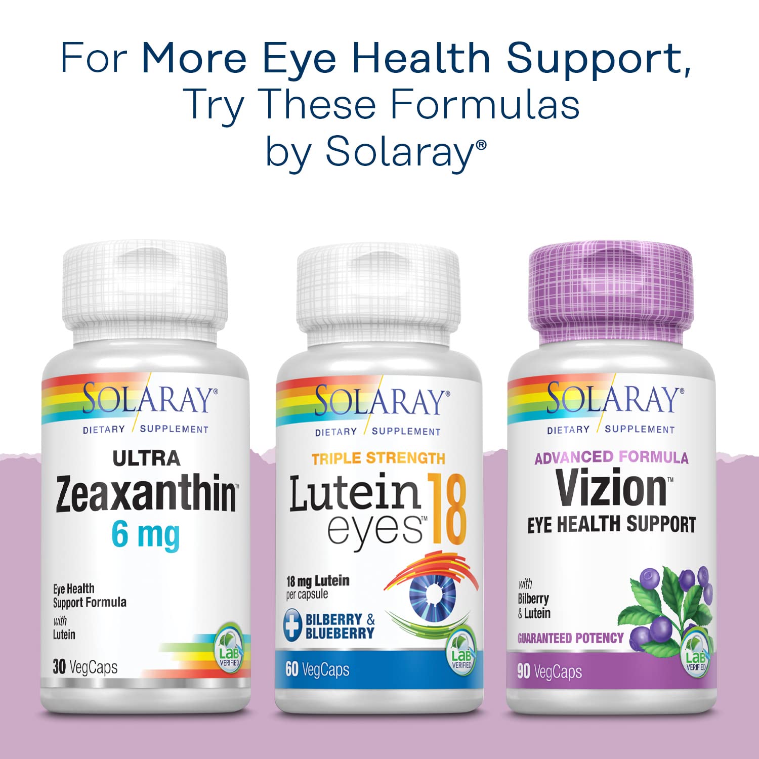 Solaray Bilberry scene showing capsules in a daily wellness setup