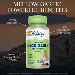 Solaray fermented garlic capsules on a kitchen counter highlight natural antioxidant support.