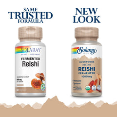Closeup of Solaray reishi capsules suggesting daily energy and mood support