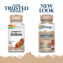 SOLARAY Fermented Shiitake 500mg capsules close-up for easy daily use