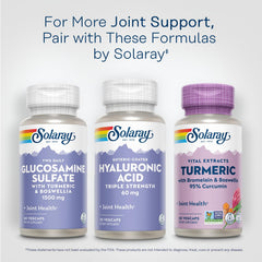 SOLARAY Hyaluronic Acid Triple Strength lab testing badge for quality control