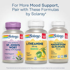 Solaray L-Theanine lemon-lime chews lifestyle shot suggests calm focus.