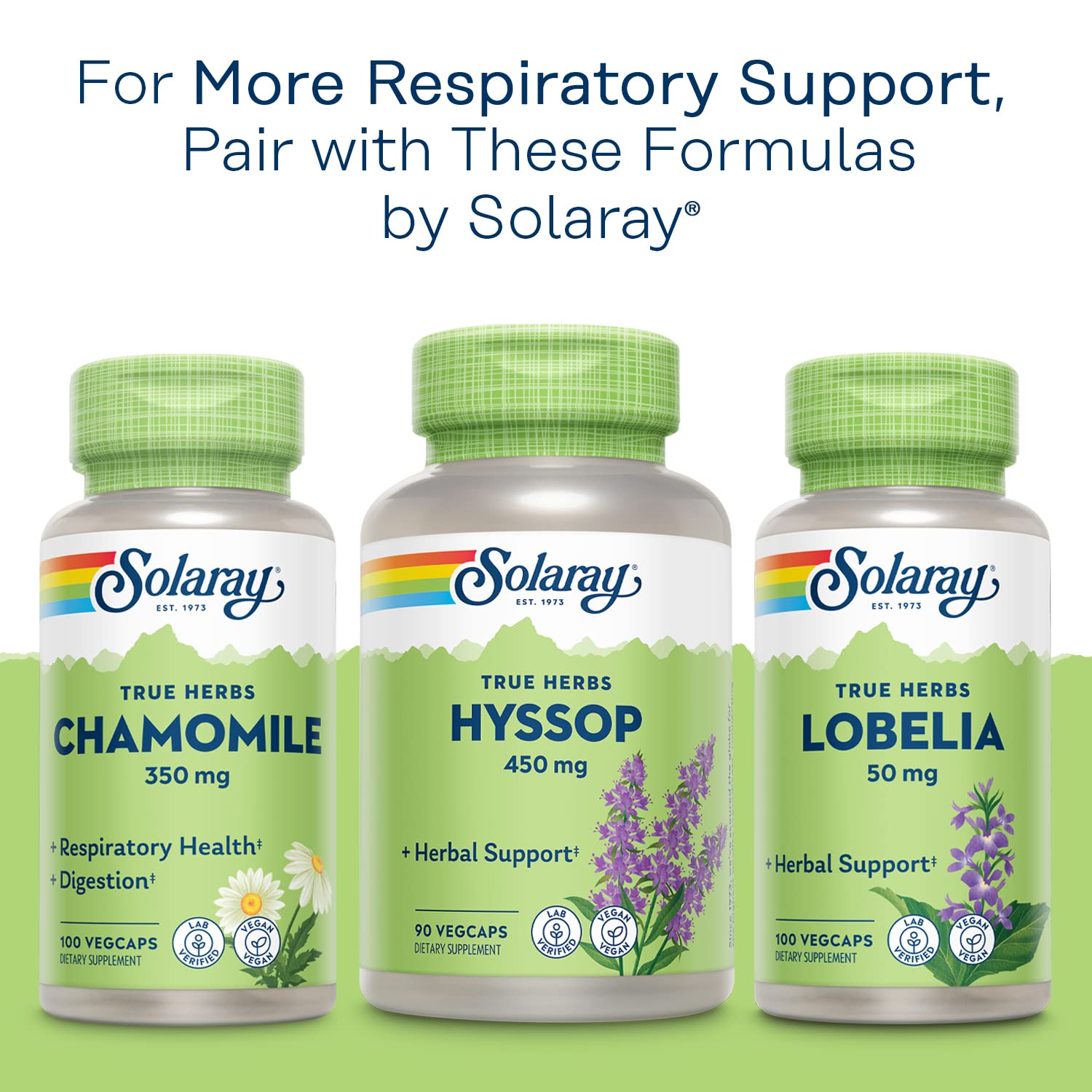 SOLARAY Mullein Leaf two-pack on shelf, convenient daily use.