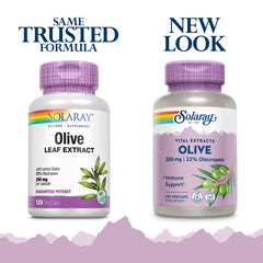 SOLARAY Olive Leaf Capsules closeup highlights 250 mg extract and oleuropein content.