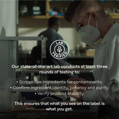 SOLARAY Digestaway ingredients panel featuring papain, ginger, and aloe