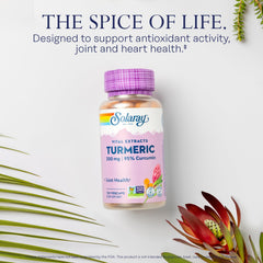 SOLARAY turmeric root extract label emphasizing curcumin potency for daily comfort.