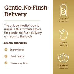 Solgar No-Flush Niacin packaging with vegan and gluten-free indicators.