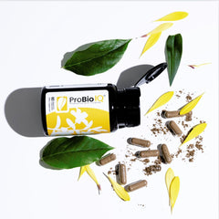 Solle Naturals ProBio IQ travel-pack ready for busy lifestyles