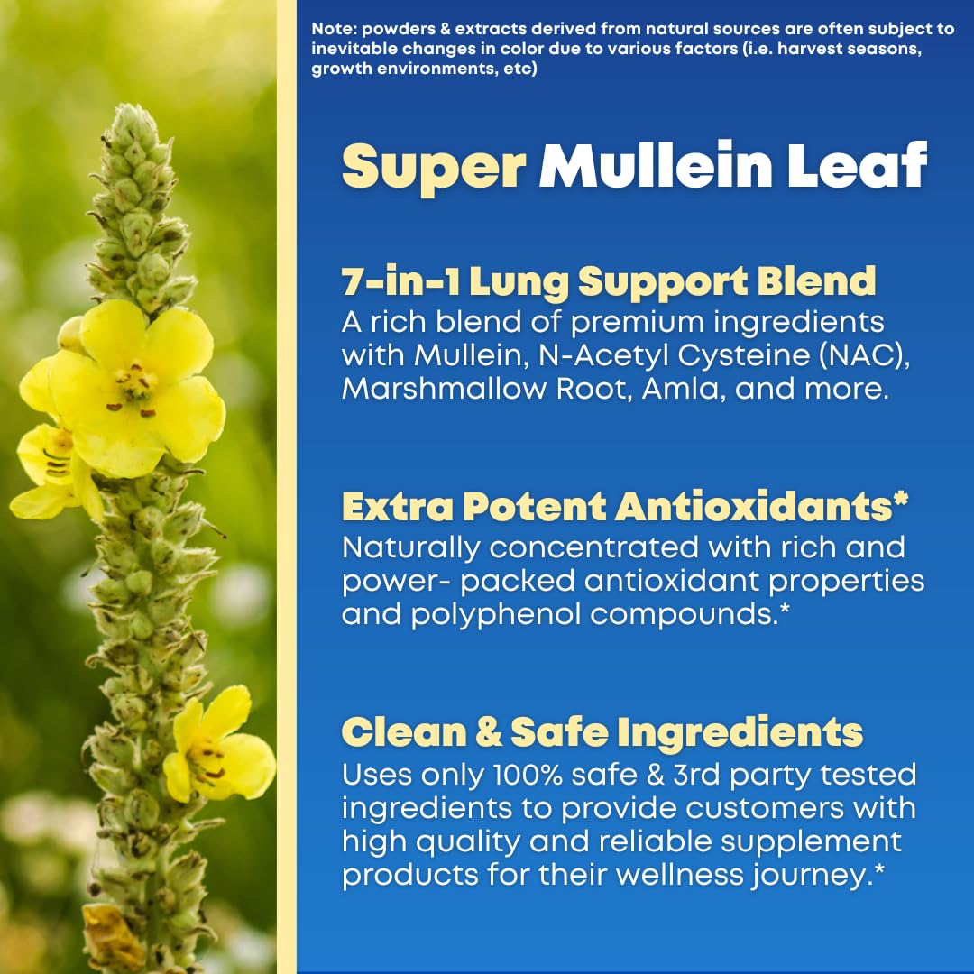 Solnuvi NAC capsule label highlights daily antioxidant support