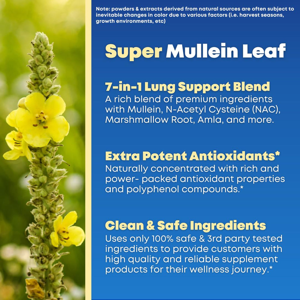 Solnuvi NAC capsule label highlights daily antioxidant support