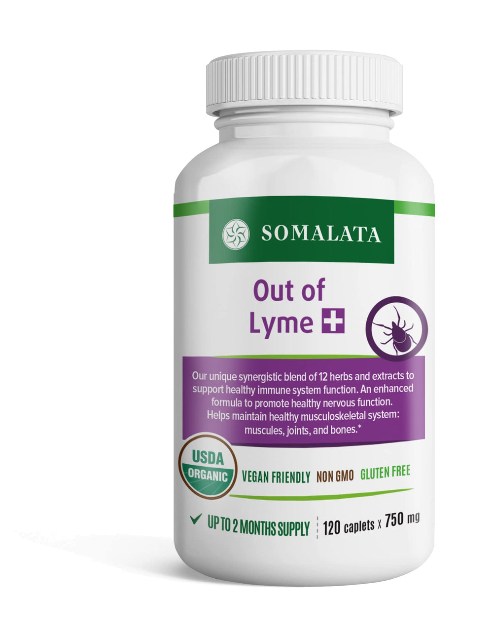 Somalata Plus bottle front view for immune support and a clean formula.