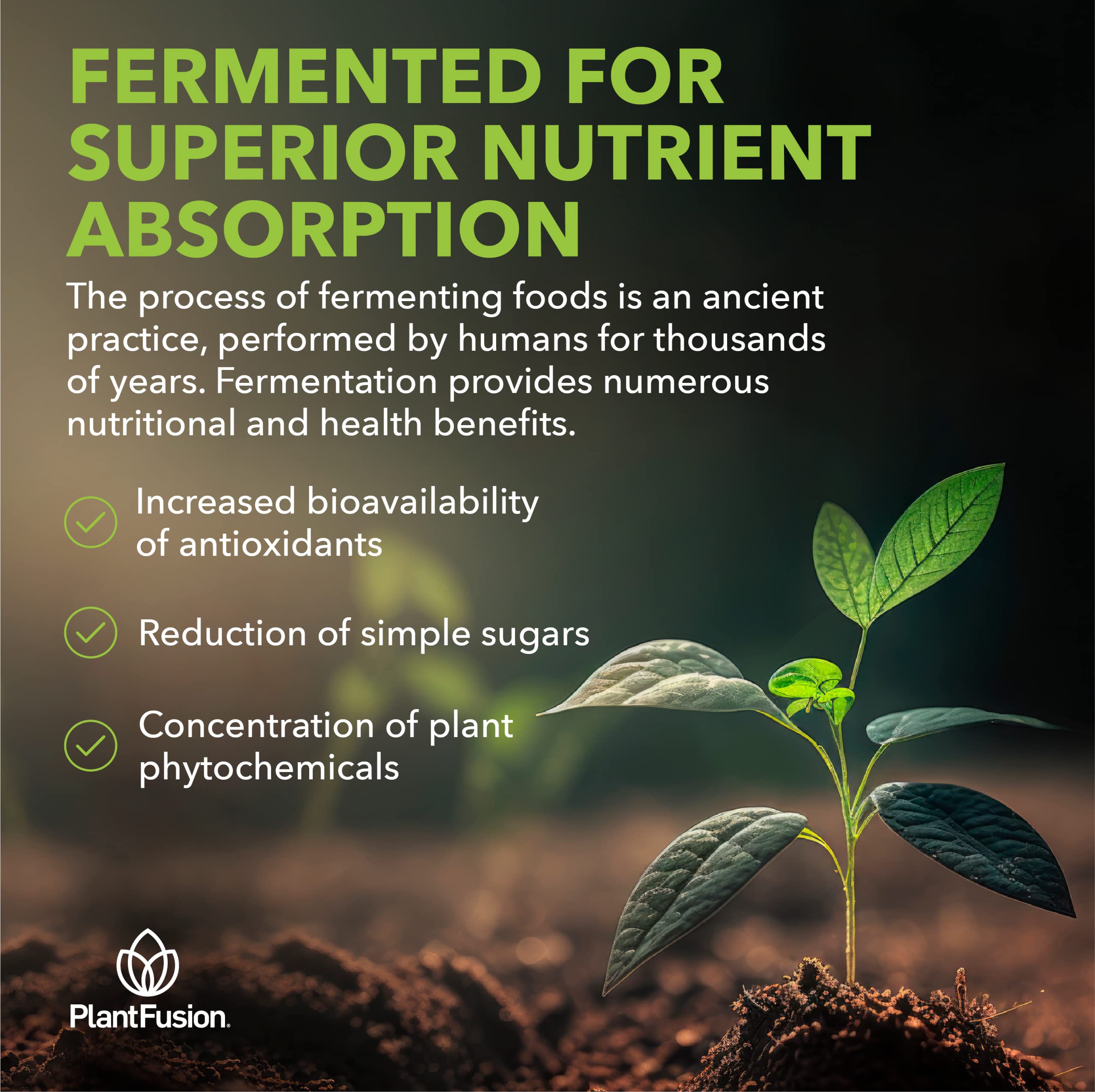 SOTRU Fruitful Greens fermentation process highlighting improved digestibility