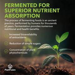 SOTRU Fruitful Greens fermentation process highlighting improved digestibility