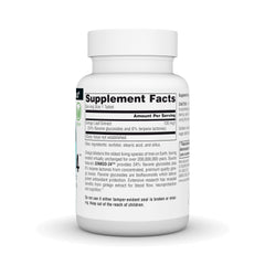 Source Naturals Ginkgo-24 label shows 24% glycosides and 6% terpenes