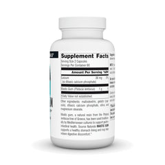 Close-up of Source Naturals Mastic Gum 500 mg tablets for daily digestive support