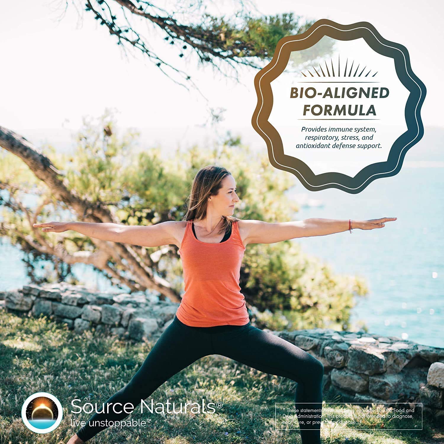 Source Naturals Wellness Formula packaging, clear ingredient list shows complex immune defense options.
