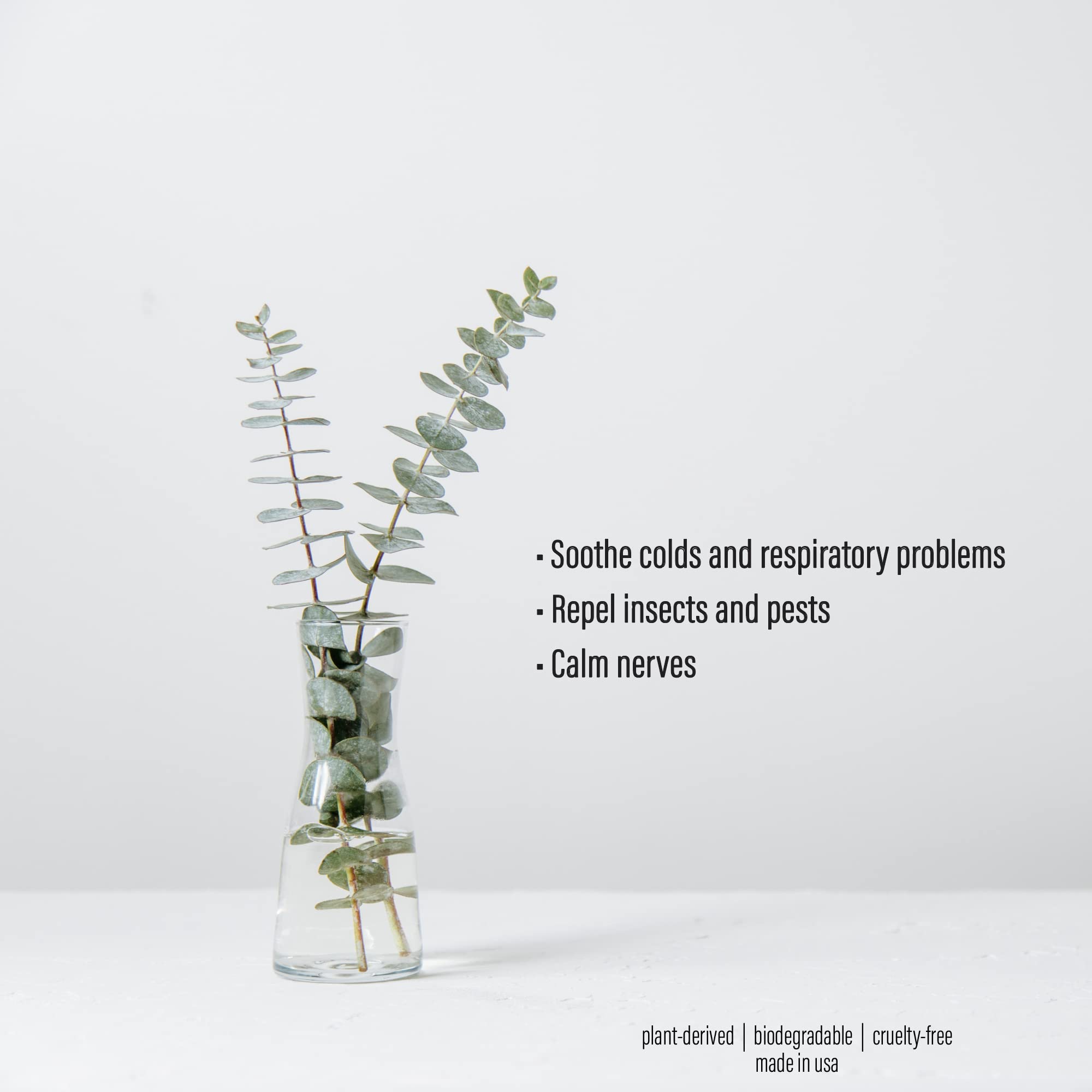 Spa Sense two-pack box display showing convenient aromatherapy options.