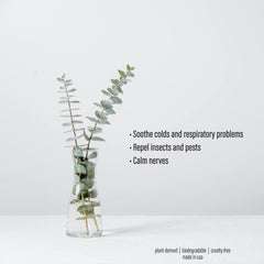Spa Sense two-pack box display showing convenient aromatherapy options.
