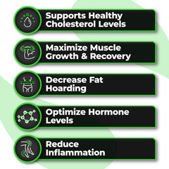 Species Nutrition Omegalyze bottle-pack shot illustrating multi-pack for ongoing use.