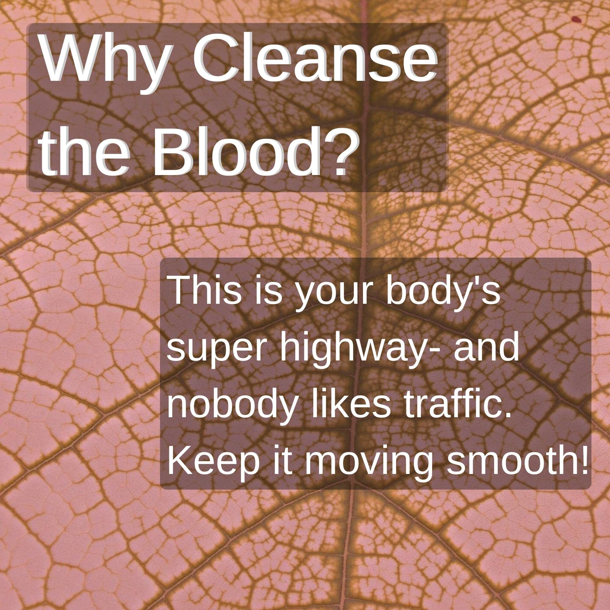 SpeedyVite Blood Lifeboost Tea product label with organic notes.