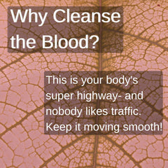 SpeedyVite Blood Lifeboost Tea product label with organic notes.