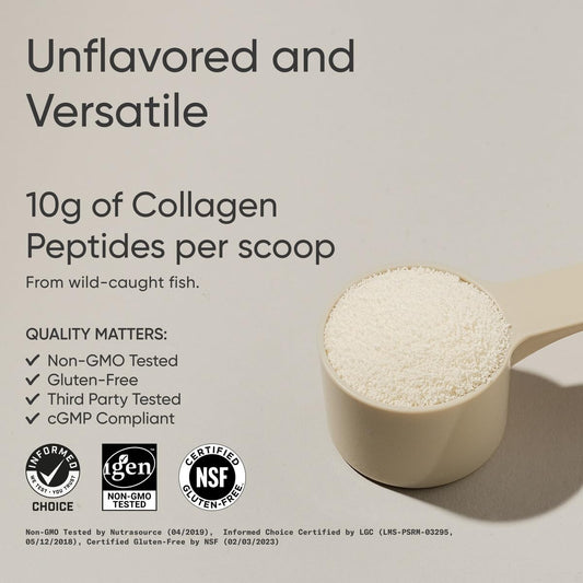 Scoop of Sports Research Marine Collagen Peptides showing 10 g per serving for daily protein.