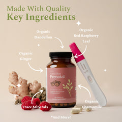 SPRIGS label nutrition facts panel emphasizing clean ingredients and no artificial additives.