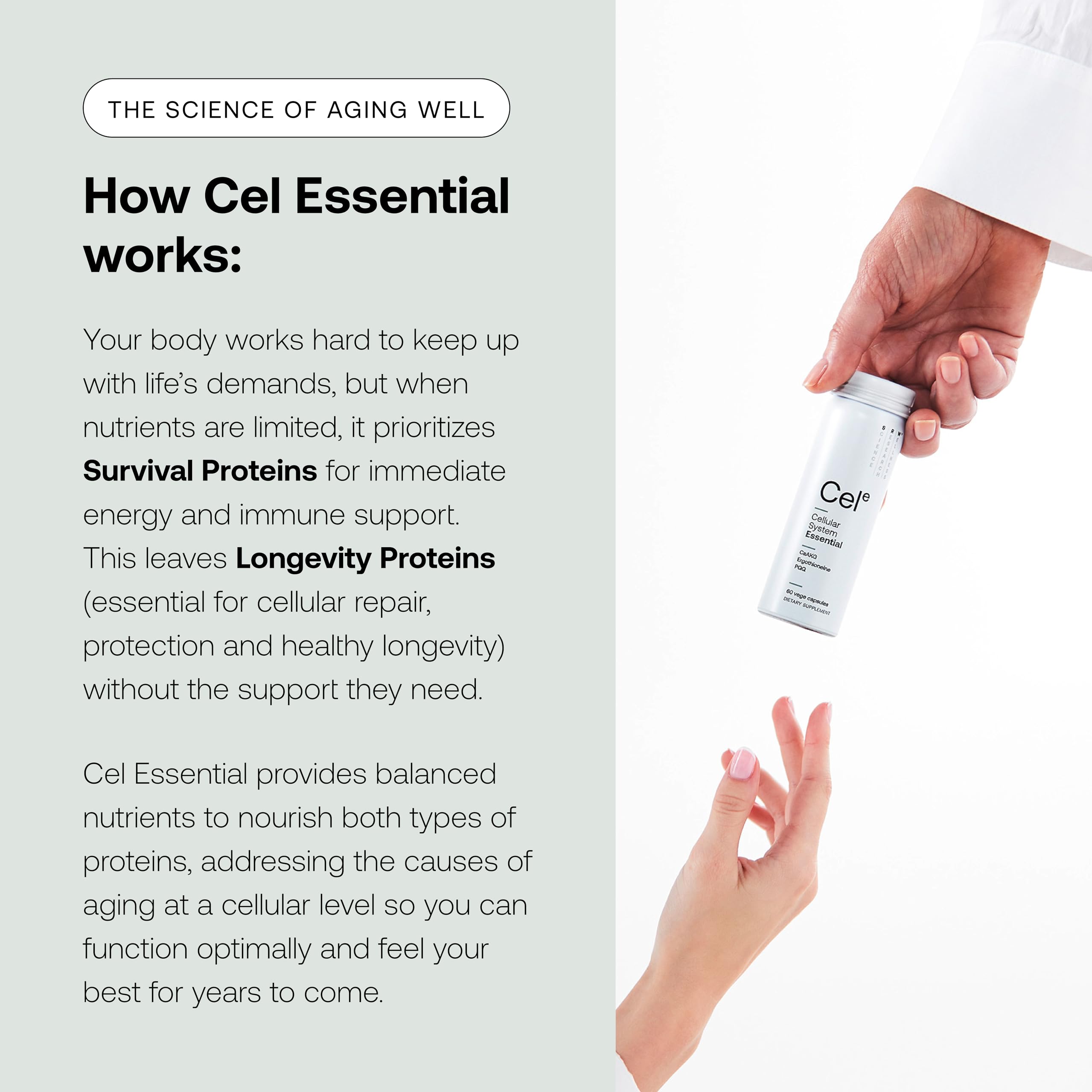 SRW Cel Essential packaging box communicates premium aging wellness on a shelf.