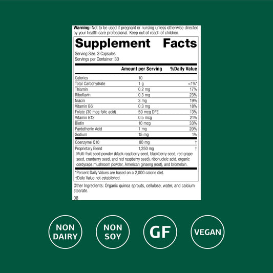 Close-up of Standard Process B Vitality capsules highlighting the B vitamin blend