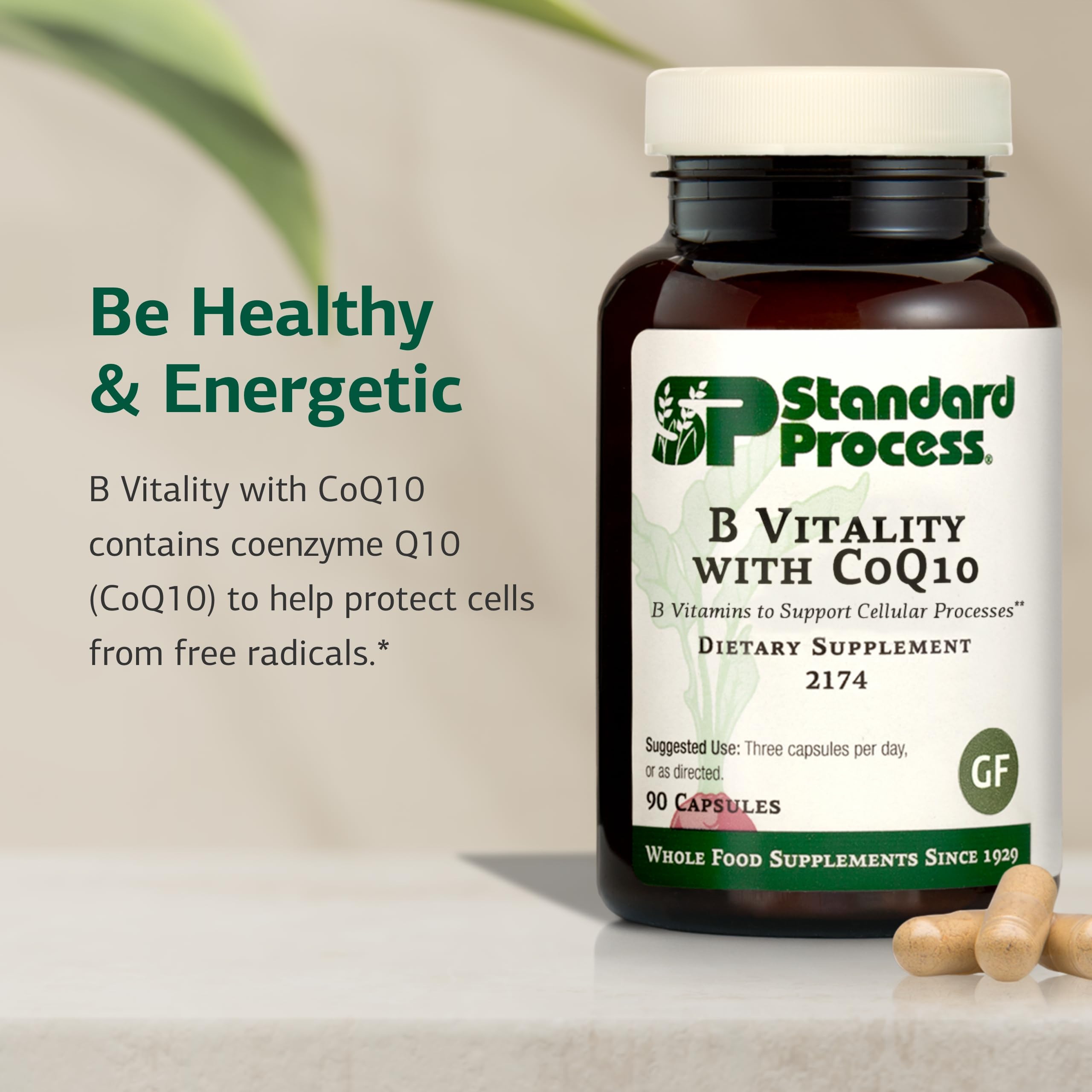 Standard Process B Vitality label view showing vegan and gluten-free credentials