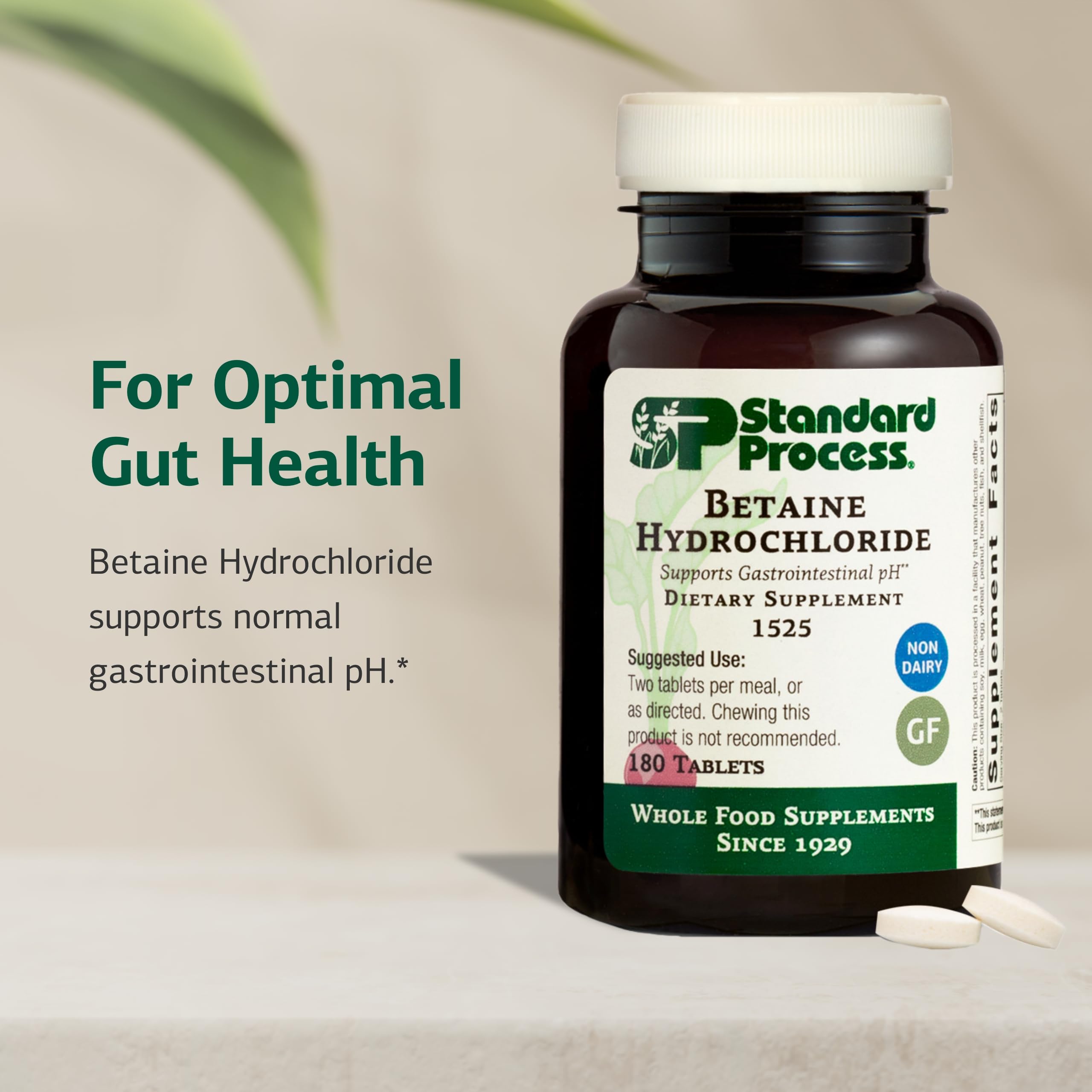 Standard Process Betaine HCl tablets front view for easy daily use