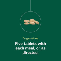 Standard Process Bio-Dent tablets on surface for convenient dosage
