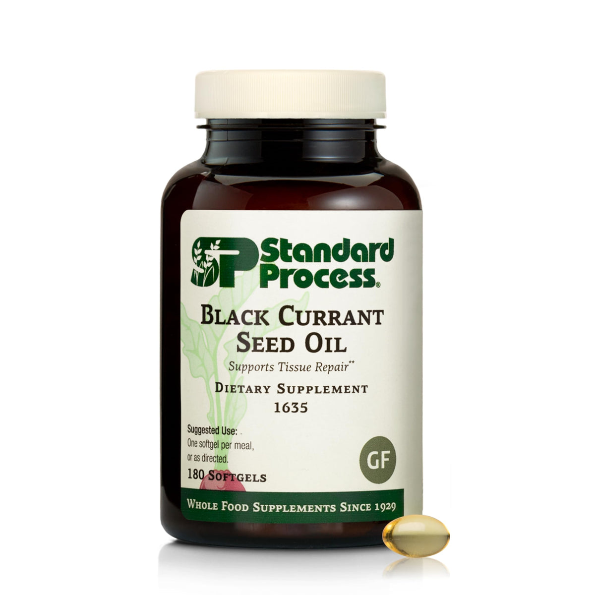 Standard Process Black Currant Seed Oil softgels bottle for easy daily tissue wellness support.