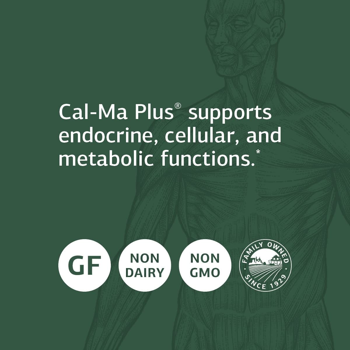 Cal-Ma Plus ingredients panel with calcium lactate and parathyroid.