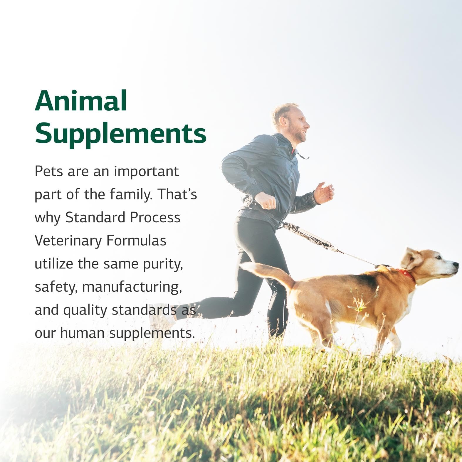Standard Process Canine Cardiac Support dog at mealtime demonstrating supplement use