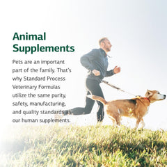 Standard Process Canine Cardiac Support dog at mealtime demonstrating supplement use