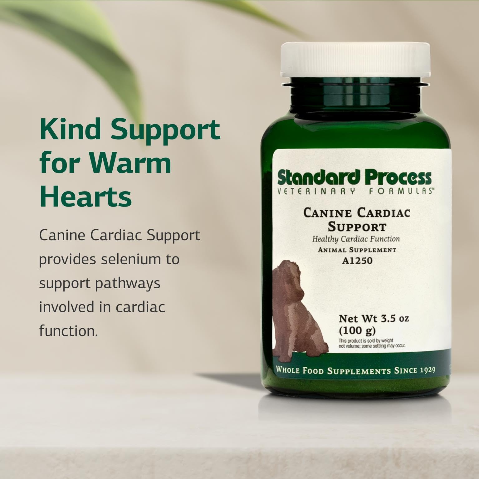 Standard Process Canine Cardiac Support small scoop for accurate dosing