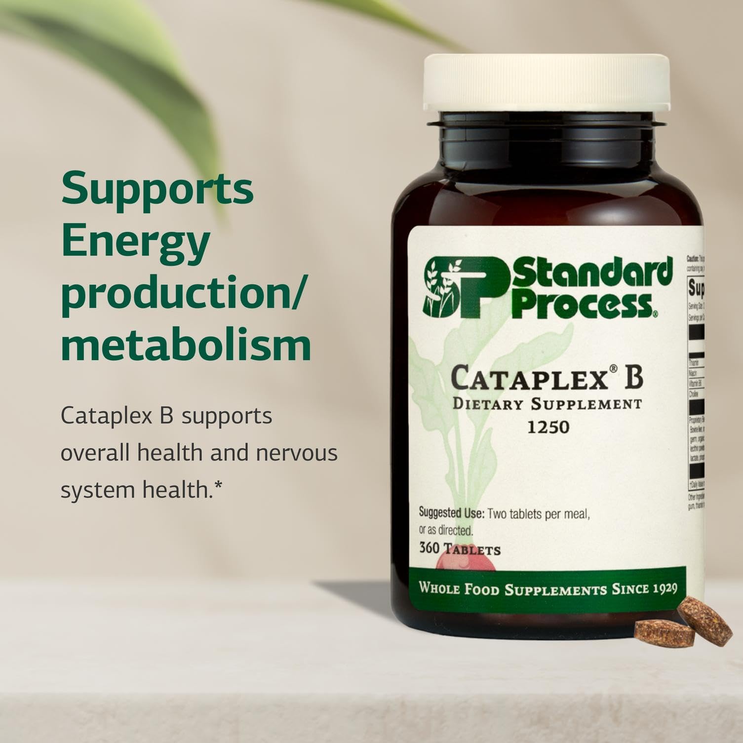 Standard Process Cataplex B capsules on white surface representing easy daily intake.