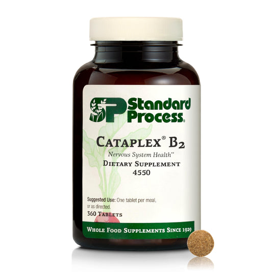 Standard Process Cataplex B2 bottle promoting nerve health and daily wellness.
