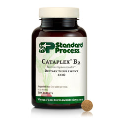Standard Process Cataplex B2 bottle promoting nerve health and daily wellness.