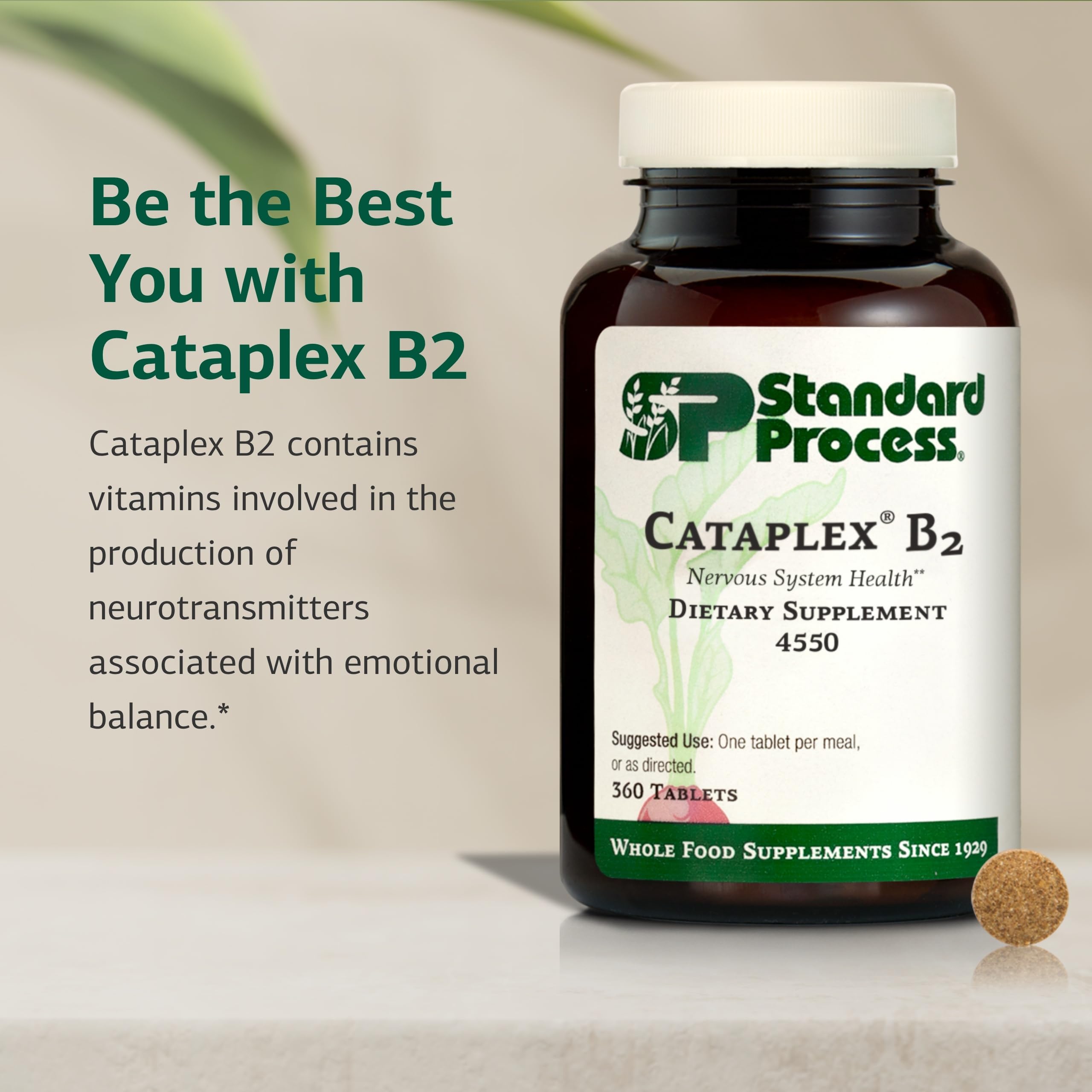 Close-up of Cataplex B2 label showing non-dairy, non-soy formula.