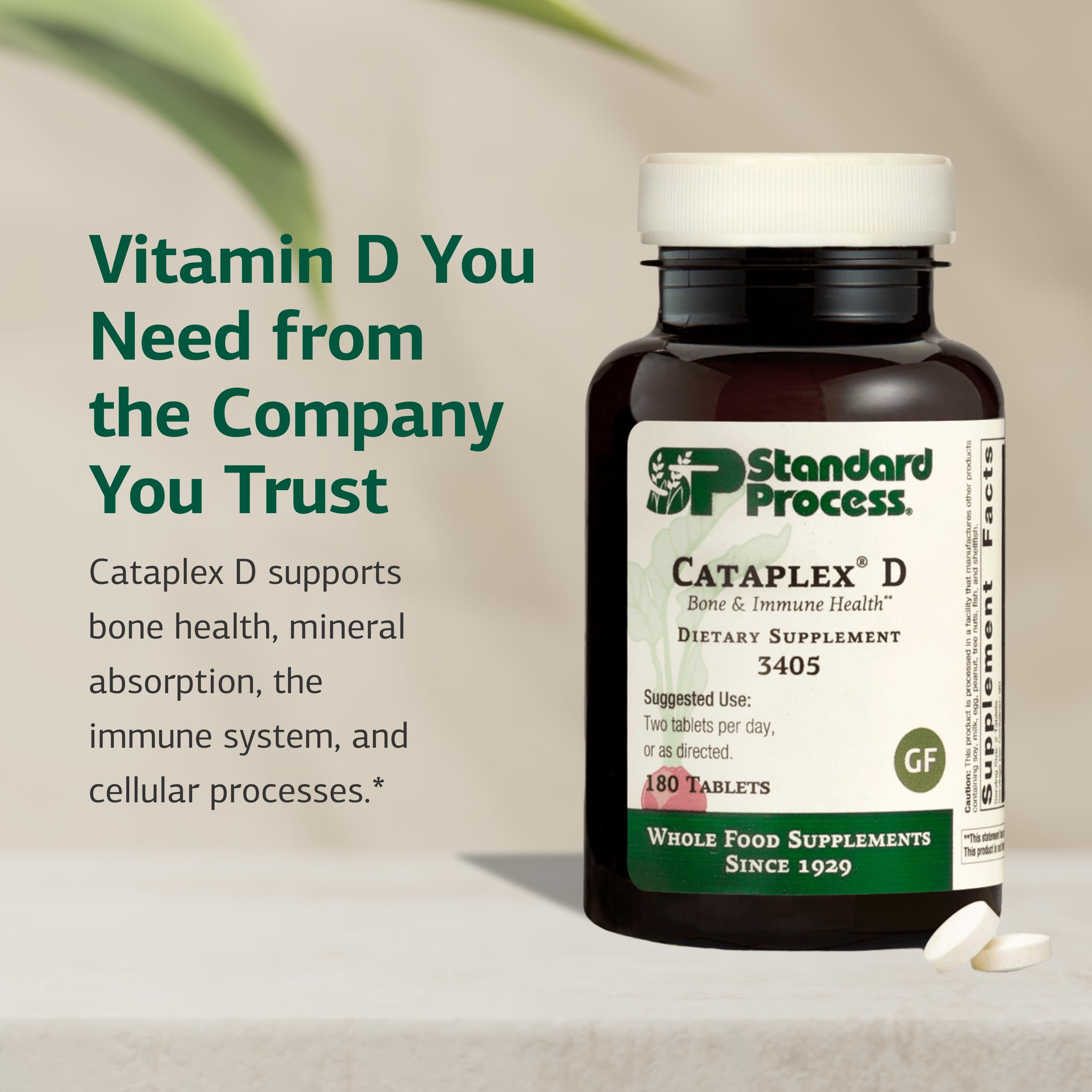 Standard Process Cataplex D tablets closeup view demonstrates vitamin D content for immune support.