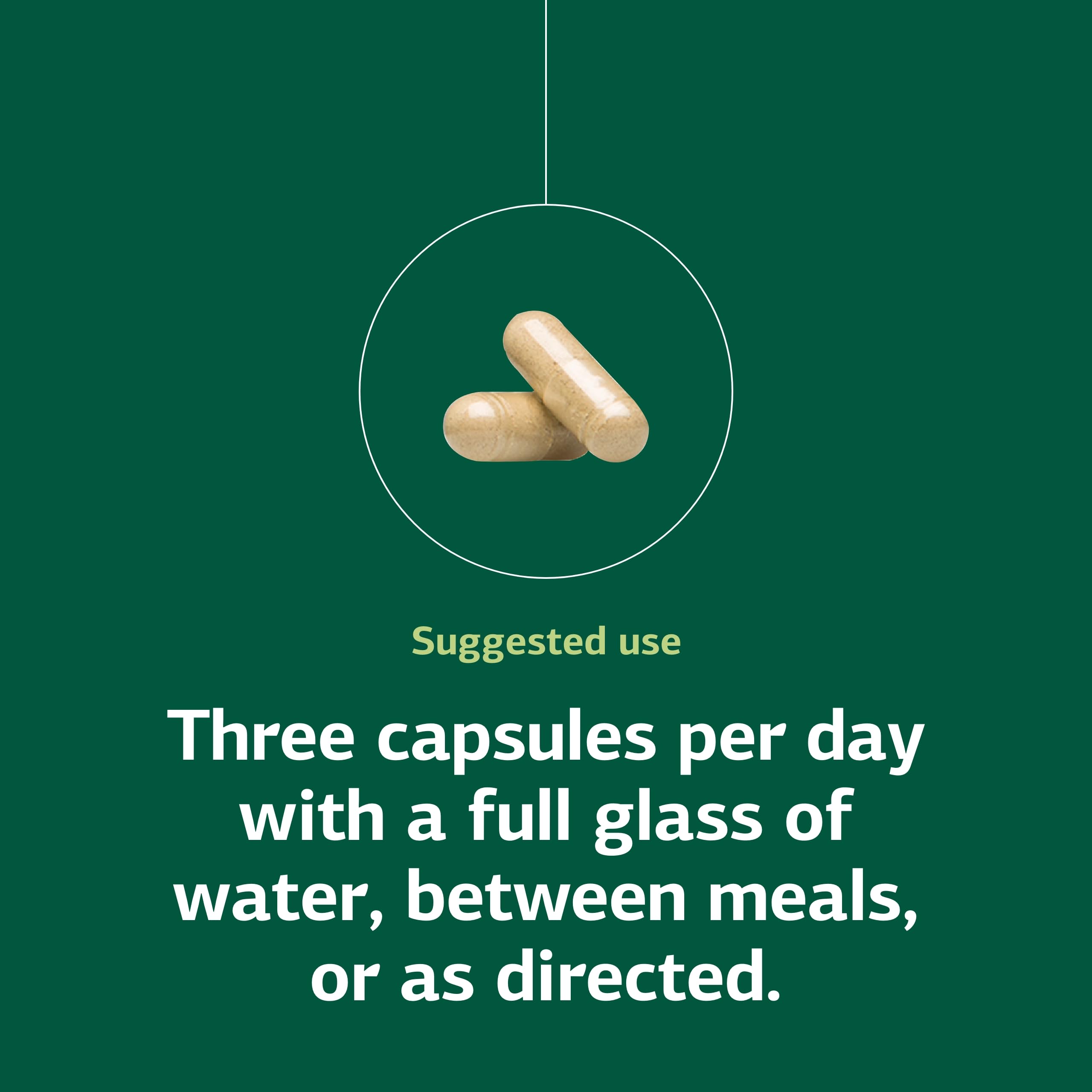 Standard Process Collinsonia Root visuals highlighting bladder support.