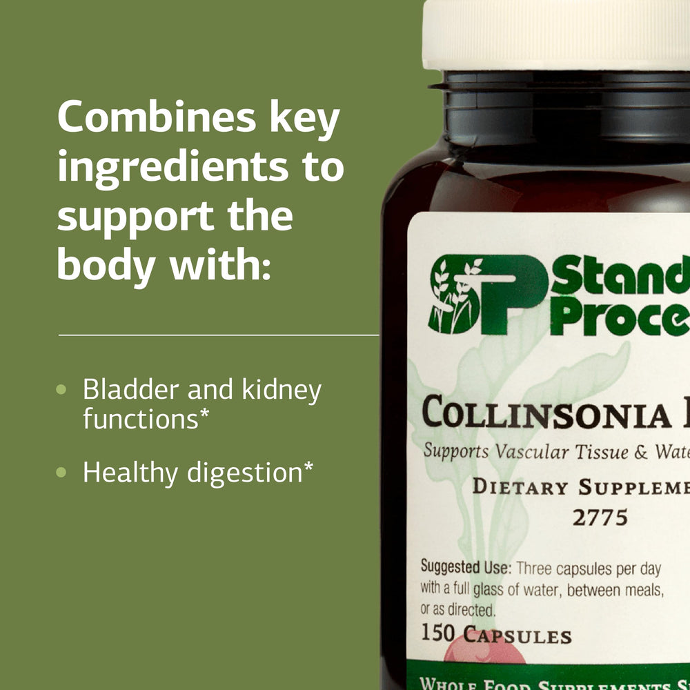 Standard Process Collinsonia Root bottle emphasizes digestive health.