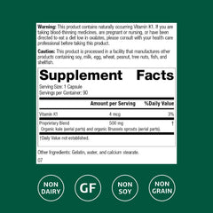Standard Process Cruciferous Complete capsules close-up for easy daily intake.