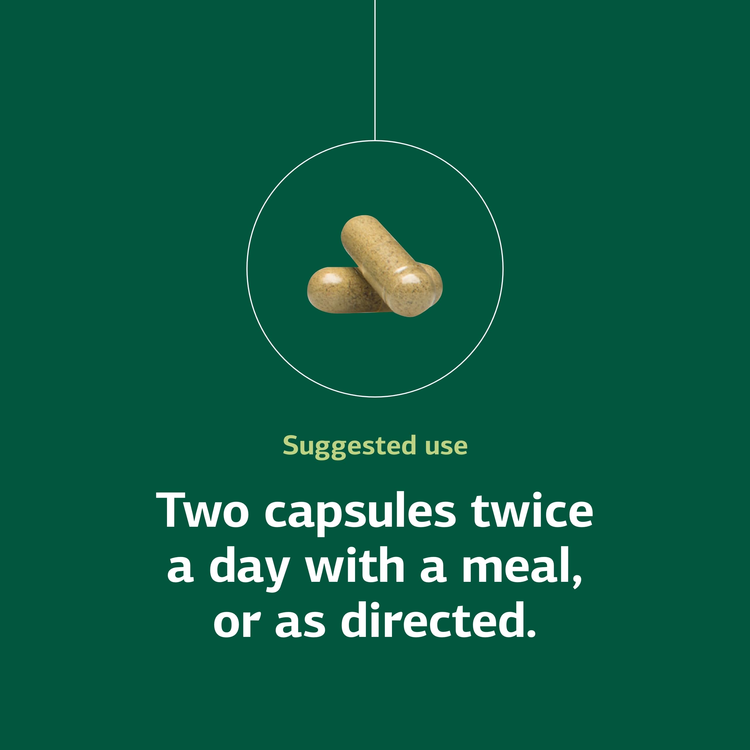 Capsules pictured for convenient intake alongside meals