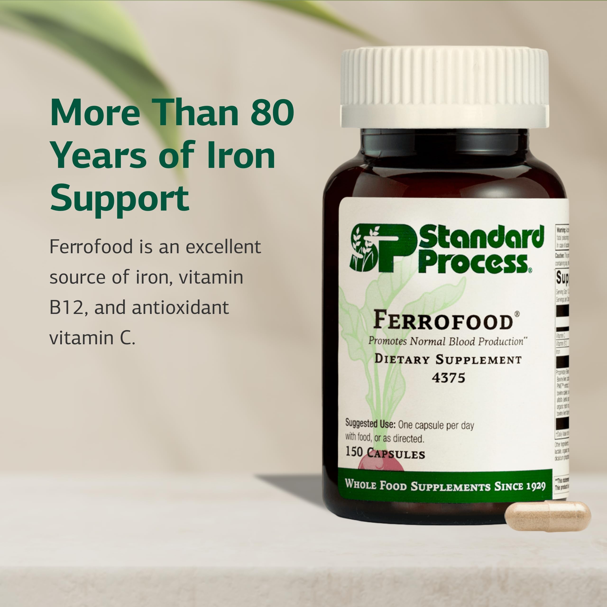 Ferrofood label close-up emphasizing non-dairy and non-soy formulation benefits.