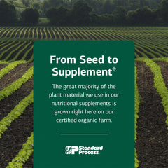 Standard Process folate daily routine setup demonstrates simple supplementation.