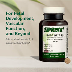 Standard Process Folic Acid B12-180 packaging visible for easy daily intake reference.